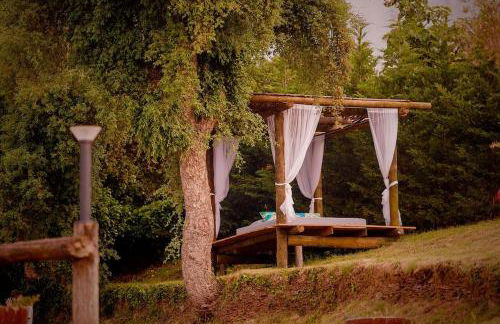 Arrabia Bunga Douro - Foto 10