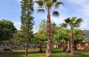 Residencial Los Flamencos - Photo 39