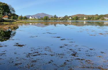 An Iolaire - Foto 25