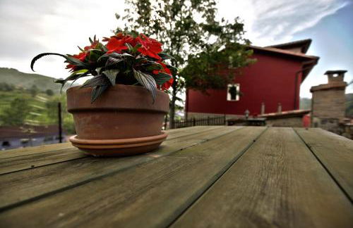 Apartamentos El Picoretu - Foto 9