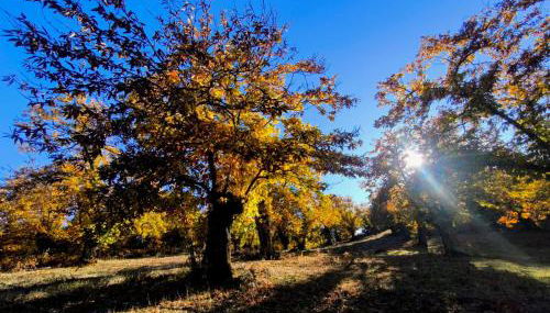 El rinconcito - Foto 3