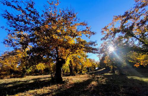 El rinconcito - Foto 3