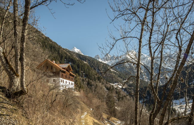 David am Buchhammerhof - Foto 45