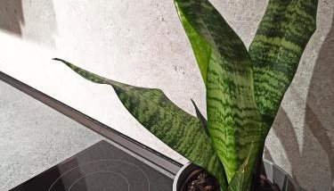 Sodi Cozy apartment - Foto 5