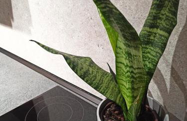 Sodi Cozy apartment - Foto 5