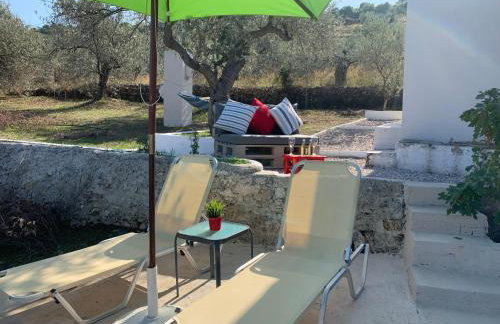 Olive Hill Private House - Foto 49