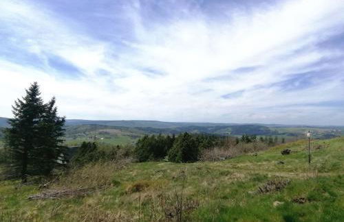 Ferienwohnung Wiesenblick in Seiffen - Foto 27