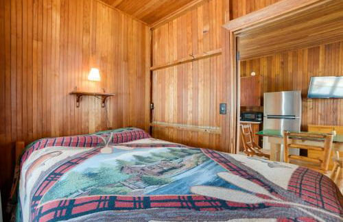 Les Cheneaux Islands Retreat 2 Boat, Fish and Swim - Foto 11