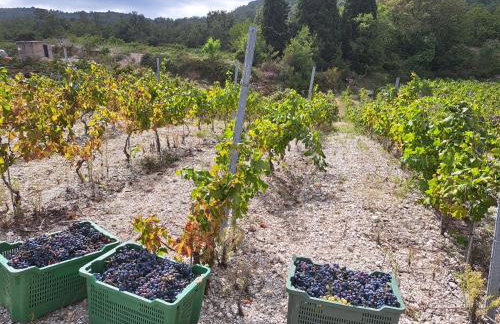 Apartment Colna - Photo 25