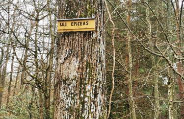 Appartement 1 chambre terrasse et piscine - Foto 19