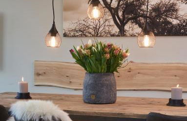 Julie´s Home (Penthouse) - Foto 14