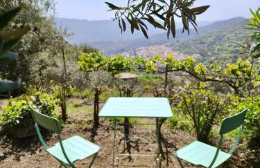 La Encina - Foto 37