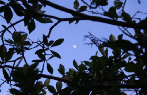 Stunning Golf Course front near the beach - Photo 51