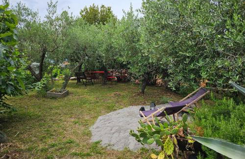 Apartmani Purić - Foto 30