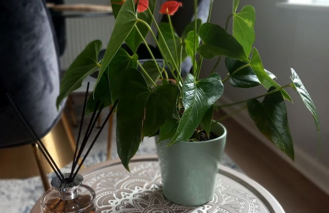 Stylish Serviced Apartment in Reading - Foto 10