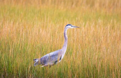 Artist-designed Beach House - Foto 16