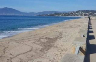 Studio situé à 20 metres de la plage d Agosta Porticcio - Photo 19