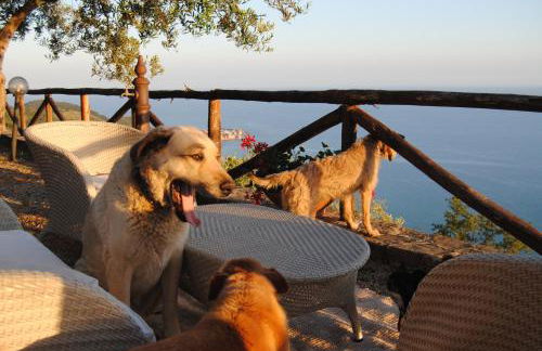 Casale Santa Rosalia Charme Villas and Rooms - Foto 55