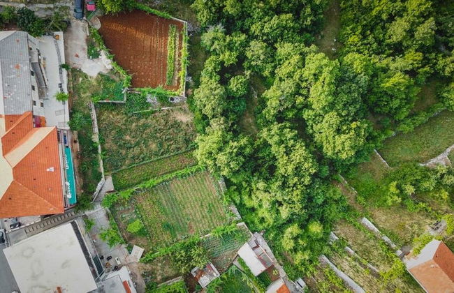 Apartment Vendi - Photo 29