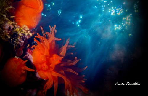 Casa Mariella - Foto 22