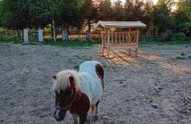 Agroturystyka Zielony Zakątek - Foto 39