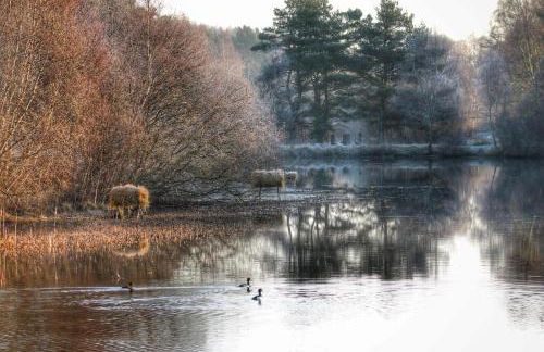 Balnagown Estates Swiss Cottage - Foto 37