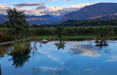 Oberberghof - Foto 1