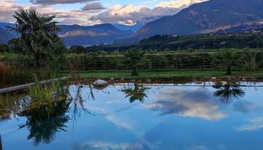 Oberberghof - Foto 1