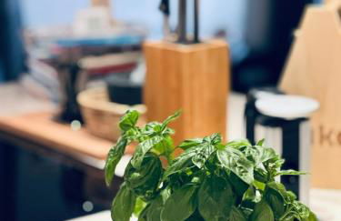 Hofwies-Exklusiv - Privates Luxus-Boutique Ferienhaus 8 Pax - Foto 8