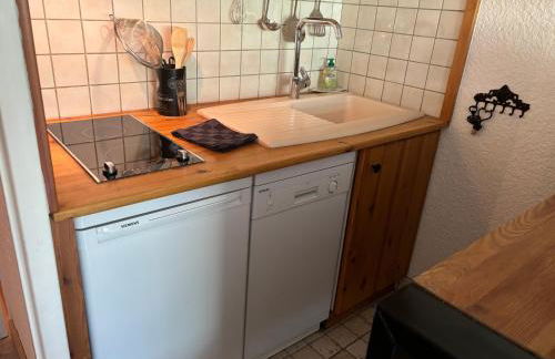 Studio Le P'tit Aigle pied des pistes et télécabine départ ski au pied - Photo 9