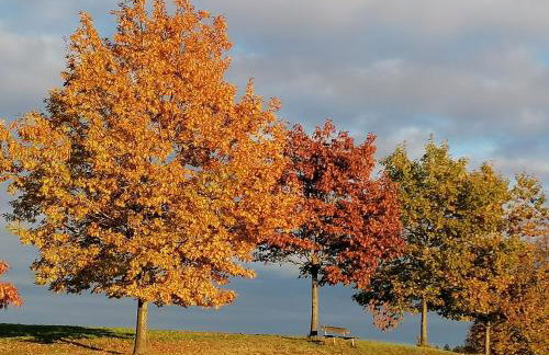 Ferienwohnung Pölzl - Photo 15