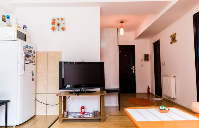 Apartment Datcu - Foto 19