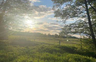 Stilvolles Naturidyll bei Berlin - Foto 29