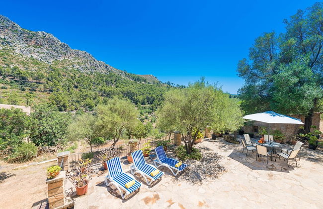 Sa Tarongera in Andratx - Foto 26