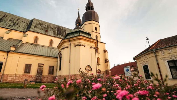 Trnava Day Trip by Train - Foto 3