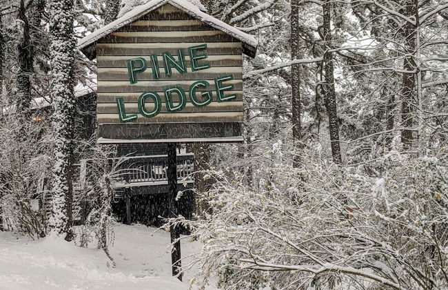 Loblolly Pines Adventure Camp - Foto 14