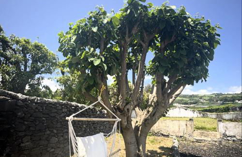 Tainhas Village - Vila Franca do Campo - Photo 14