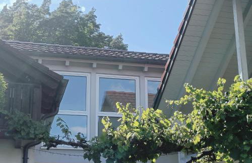 Hegauzauber - Foto 31