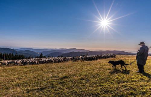 Haus Wiesenquelle - Fewo 14 "Timeout", Feldberg - Foto 34