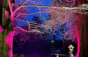 Cabin for 2 - Outdoor Bath Wood Burner - Foto 19