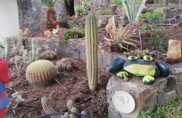 Casa Majores - Foto 11