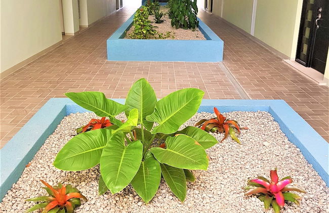 New Kingston Luxury Apt The Bromptons - Foto 21