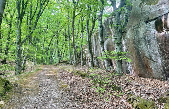 3 Person Holiday Home in Hunnebostrand-by Traum - Foto 16