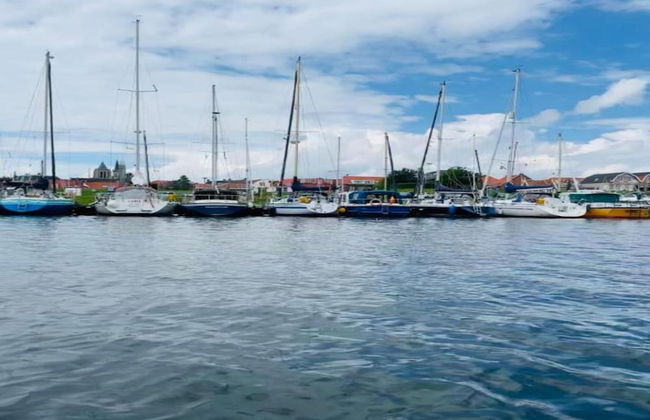 Villa in Bergen op Zoom With Luxury Interiors - Foto 31