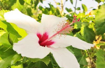 Seaside Studios Arkasa Karpathos - Photo 31