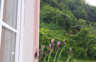 Moderne Wohnung in barockem Altstadthaus nahe Altstadt und Radweg - Photo 19