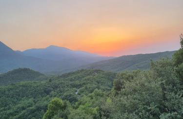 Αρχοντικό στο Διπόταμο - Foto 3