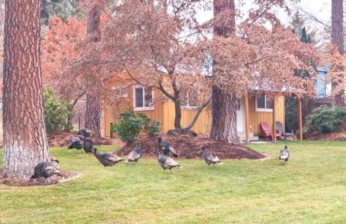 The Base Camp - Foto 30