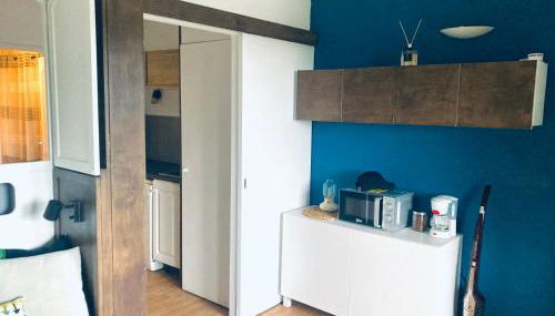 Hyeres port bel appartement - Foto 4