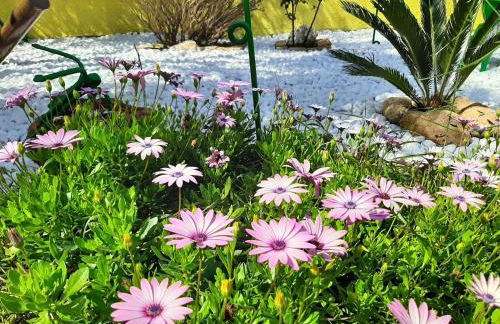 Artistika Golden Apartment - Foto 68